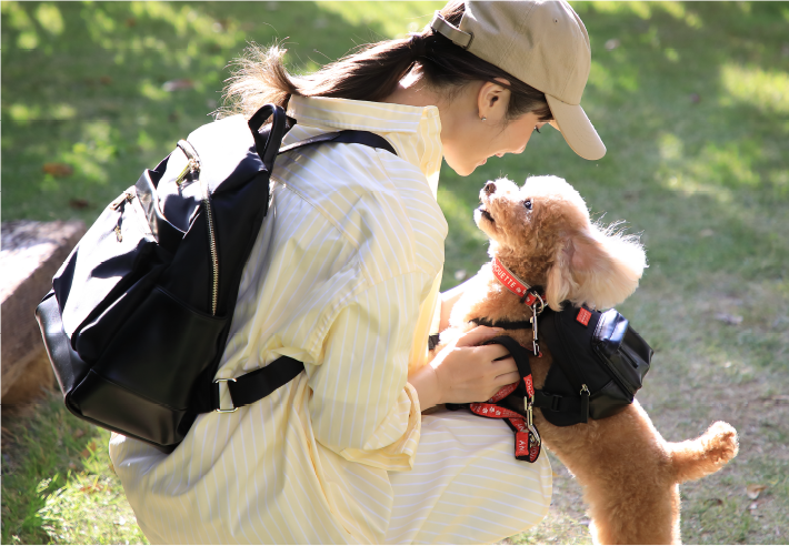 pet &chouette debut!! │ & chouette │ pet & chouette │ いぬのき